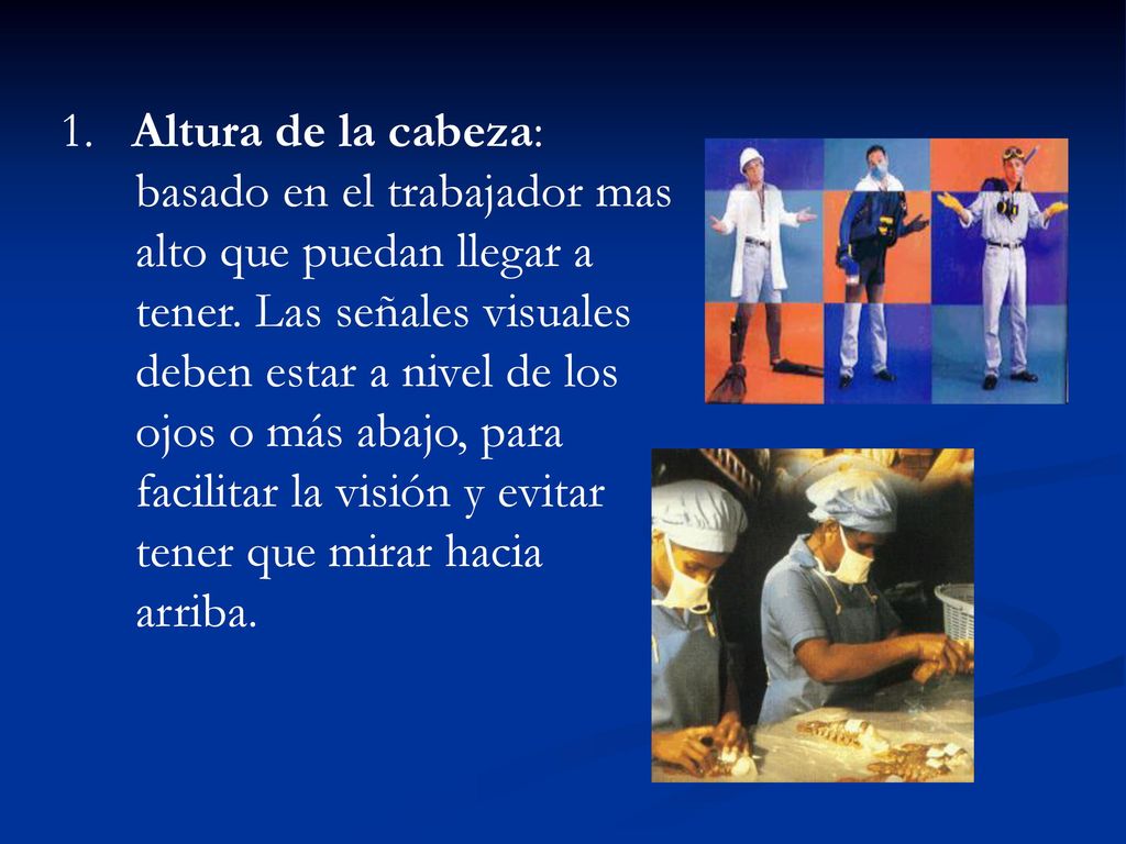 1. Altura de la cabeza: basado en el trabajador mas alto que puedan llegar a tener.