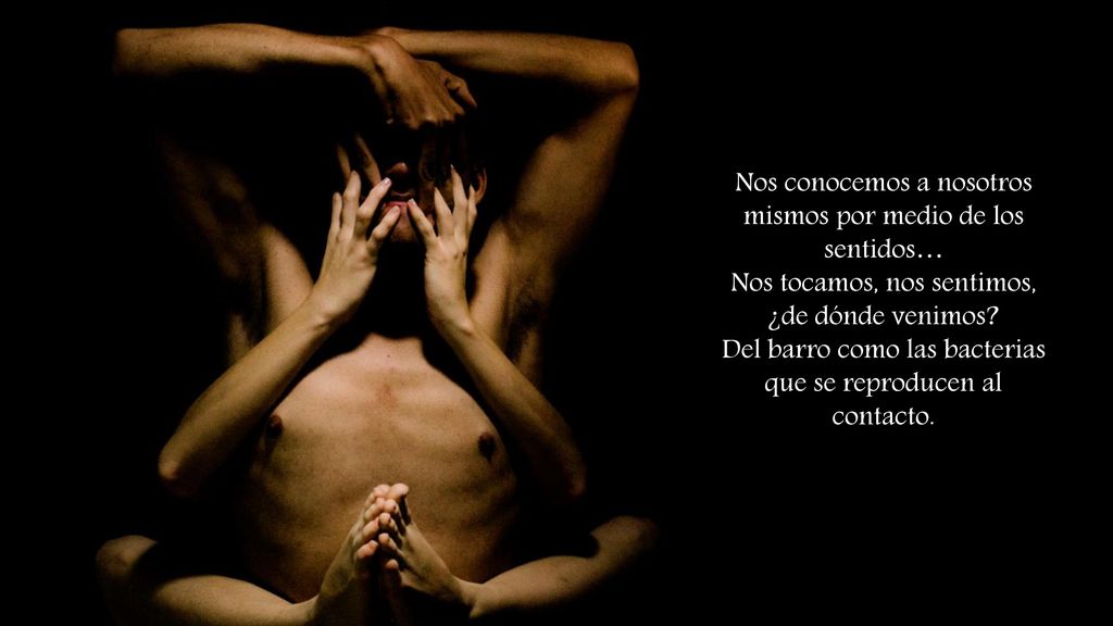 Nos conocemos a nosotros mismos por medio de los sentidos…