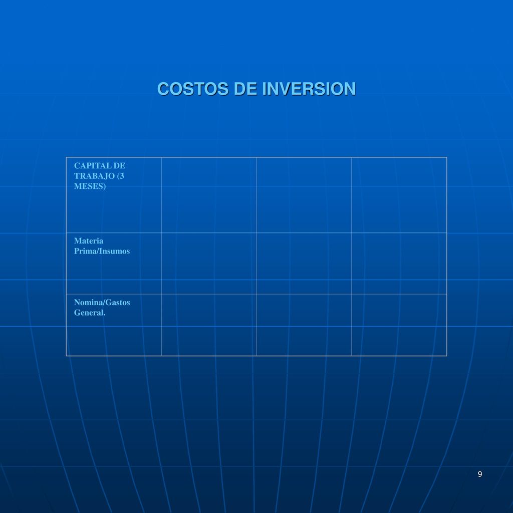 COSTOS DE INVERSION CAPITAL DE TRABAJO (3 MESES) Materia Prima/Insumos