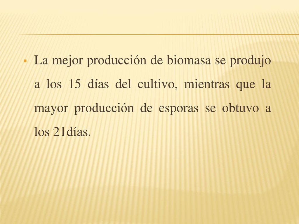 La mejor producción de biomasa se produjo a los 15 días del cultivo, mientras que la mayor producción de esporas se obtuvo a los 21días.