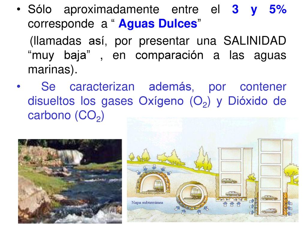 Sólo aproximadamente entre el 3 y 5% corresponde a Aguas Dulces