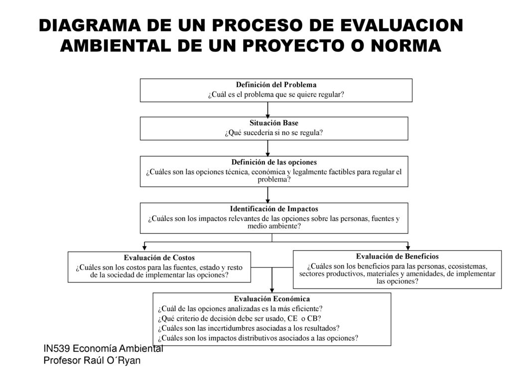DIAGRAMA DE UN PROCESO DE EVALUACION AMBIENTAL DE UN PROYECTO O NORMA