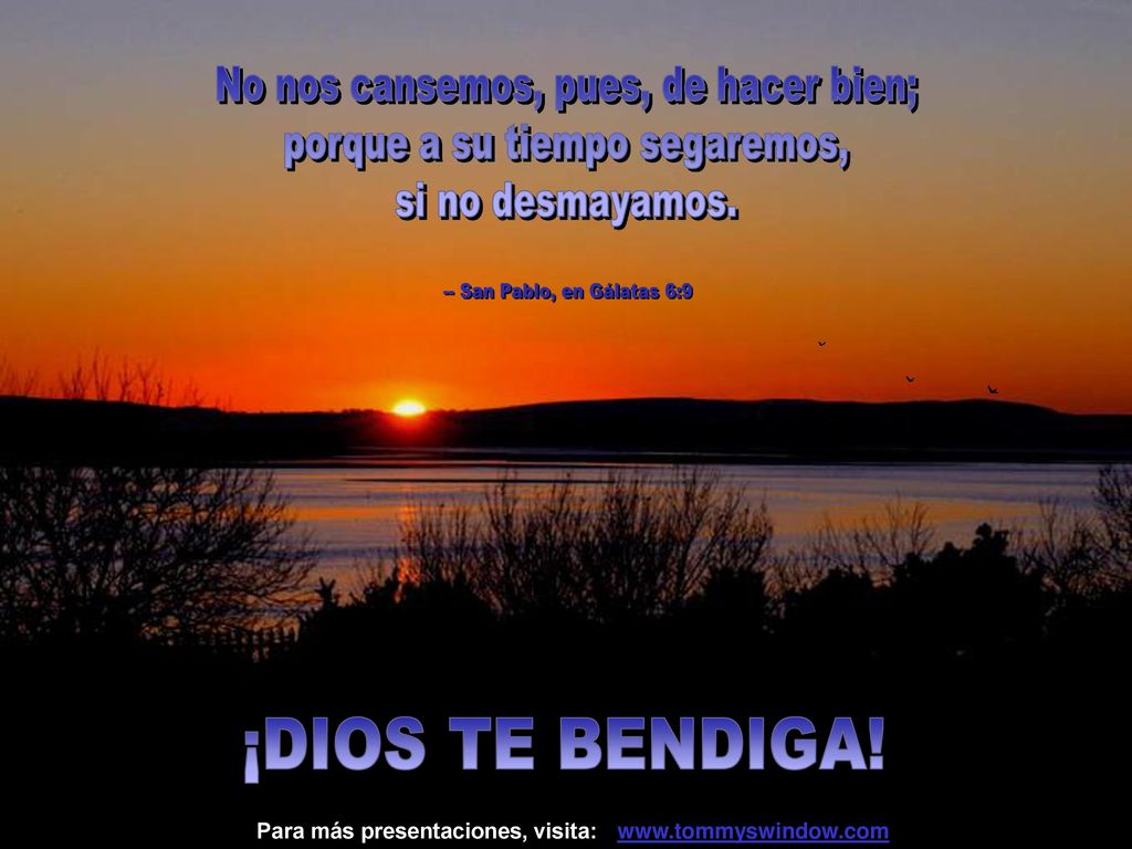 No nos cansemos, pues, de hacer bien; porque a su tiempo segaremos,