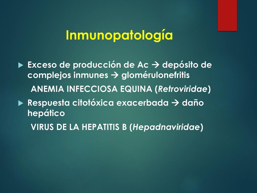 Inmunopatología Exceso de producción de Ac  depósito de complejos inmunes  glomérulonefritis. ANEMIA INFECCIOSA EQUINA (Retroviridae)