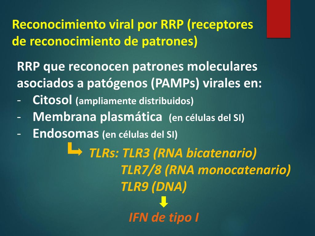 Reconocimiento viral por RRP (receptores de reconocimiento de patrones)
