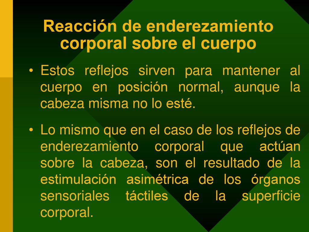 Reacción de enderezamiento corporal sobre el cuerpo