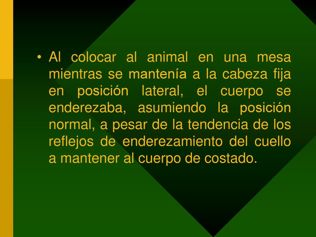 Al colocar al animal en una mesa mientras se mantenía a la cabeza fija en posición lateral, el cuerpo se enderezaba, asumiendo la posición normal, a pesar de la tendencia de los reflejos de enderezamiento del cuello a mantener al cuerpo de costado.