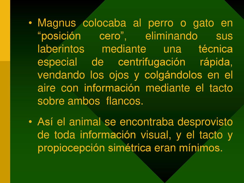 Magnus colocaba al perro o gato en posición cero , eliminando sus laberintos mediante una técnica especial de centrifugación rápida, vendando los ojos y colgándolos en el aire con información mediante el tacto sobre ambos flancos.