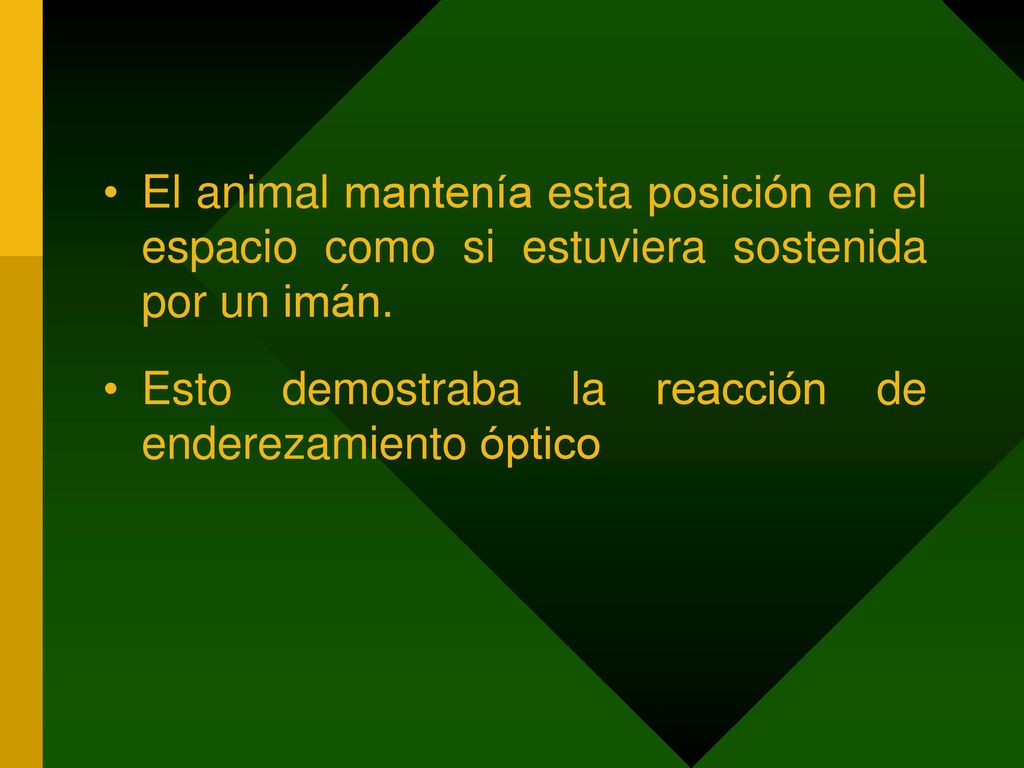 El animal mantenía esta posición en el espacio como si estuviera sostenida por un imán.