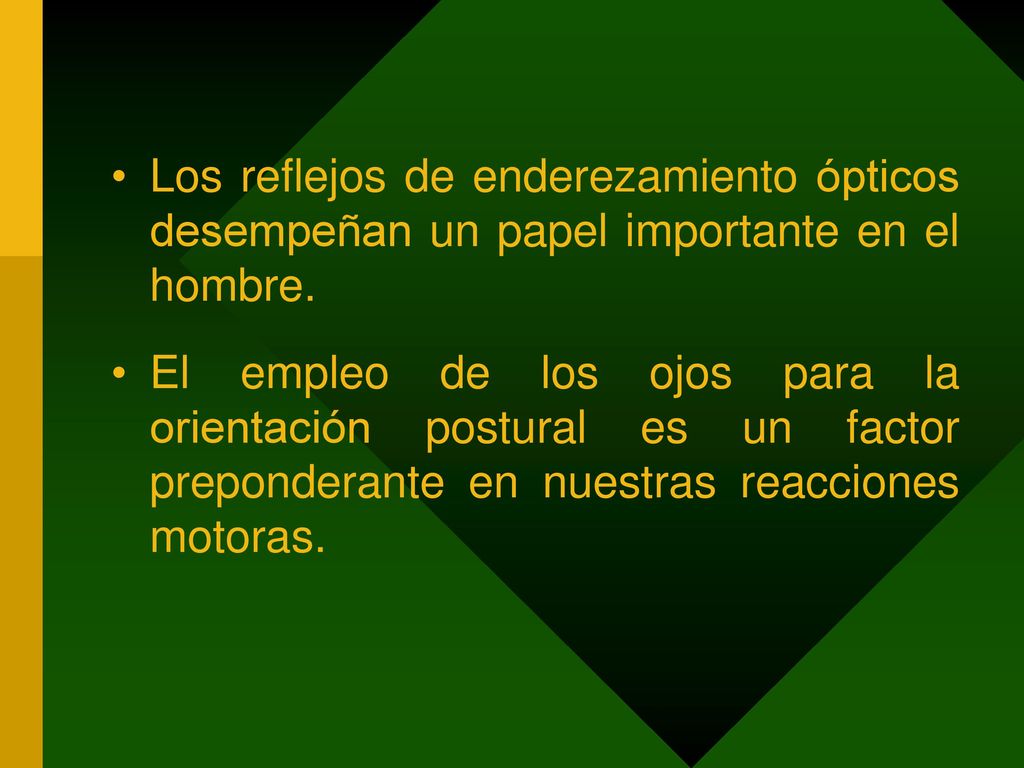 Los reflejos de enderezamiento ópticos desempeñan un papel importante en el hombre.