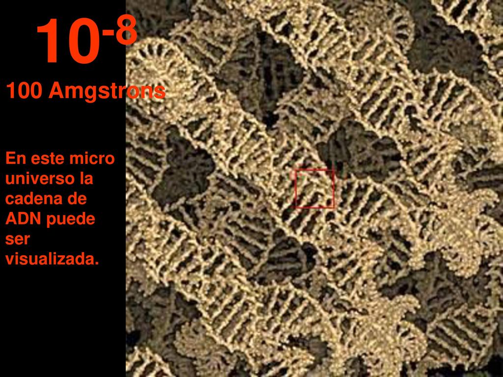 Amgstrons En este micro universo la cadena de ADN puede ser visualizada.