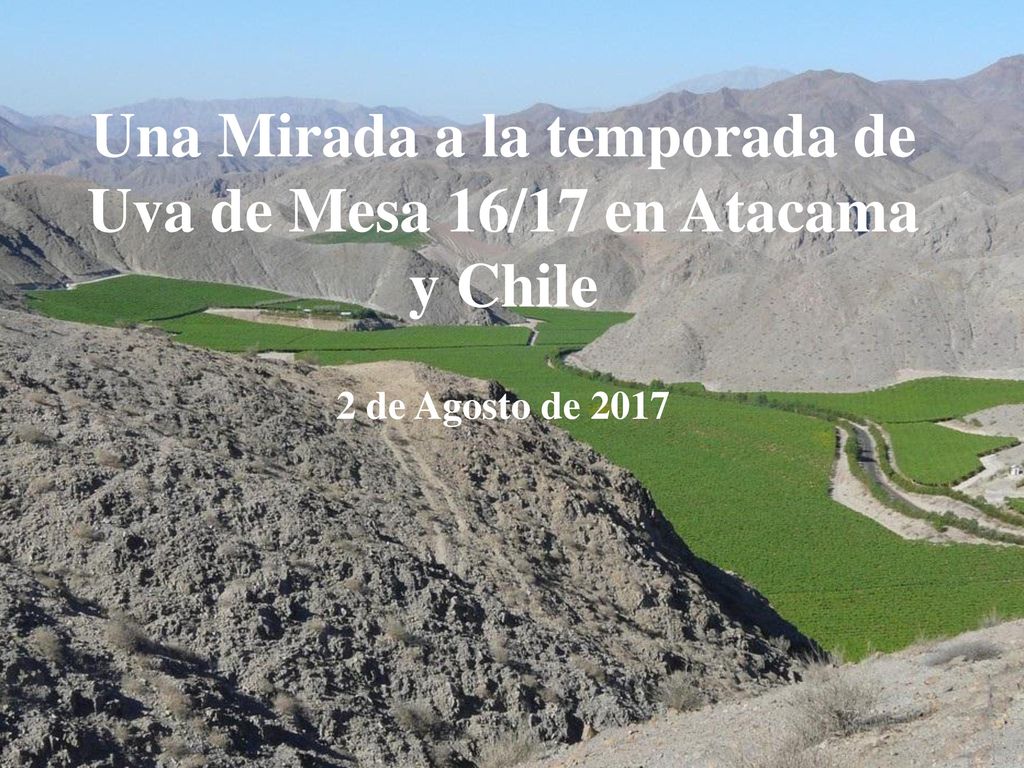 Una Mirada a la temporada de Uva de Mesa 16/17 en Atacama y Chile