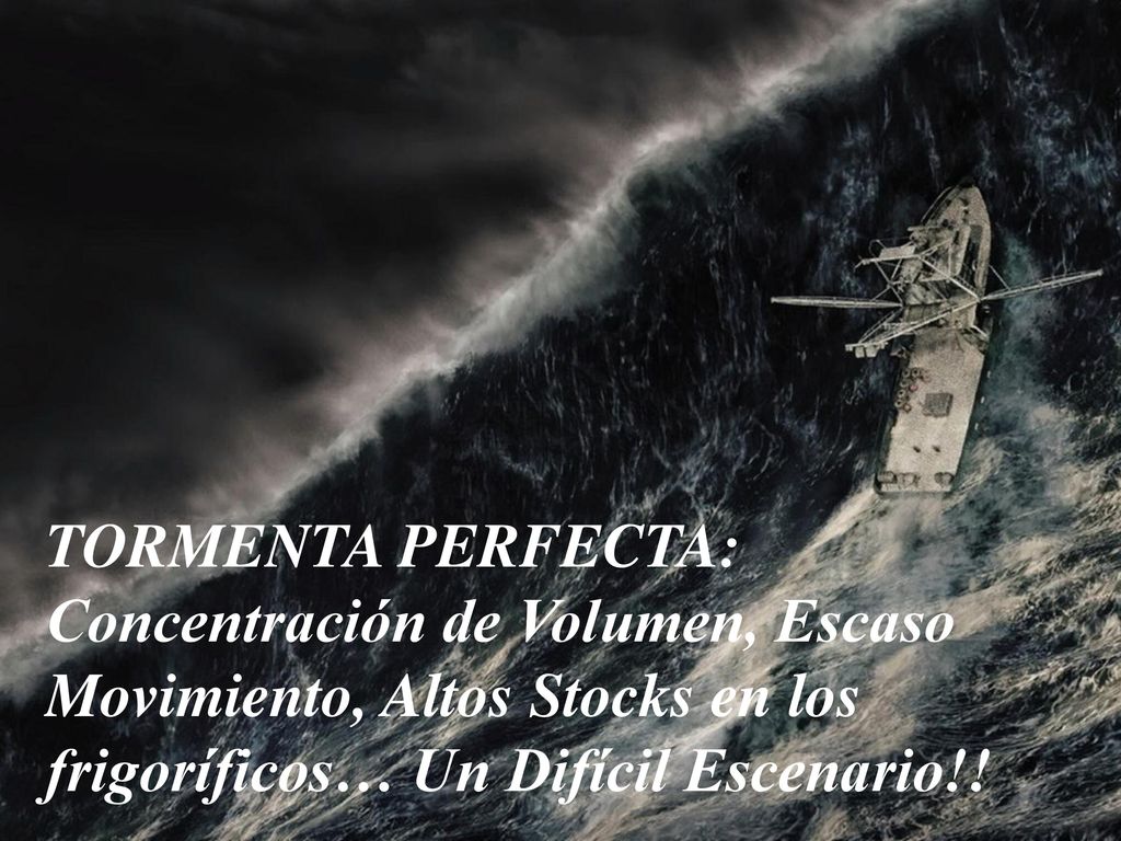 TORMENTA PERFECTA: Concentración de Volumen, Escaso Movimiento, Altos Stocks en los frigoríficos… Un Difícil Escenario!!