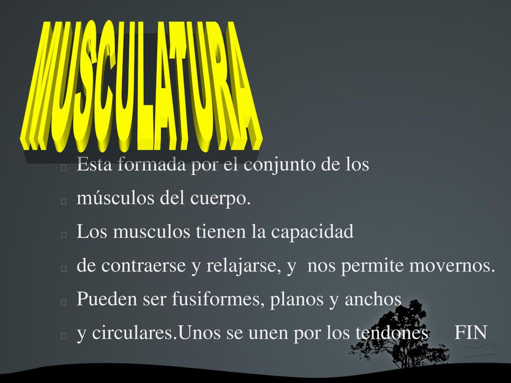 Esta formada por el conjunto de los músculos del cuerpo.