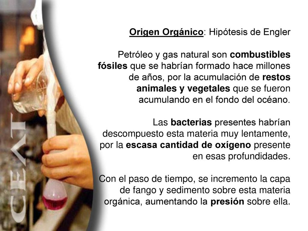 Origen Orgánico: Hipótesis de Engler Petróleo y gas natural son combustibles fósiles que se habrían formado hace millones de años, por la acumulación de restos animales y vegetales que se fueron acumulando en el fondo del océano.