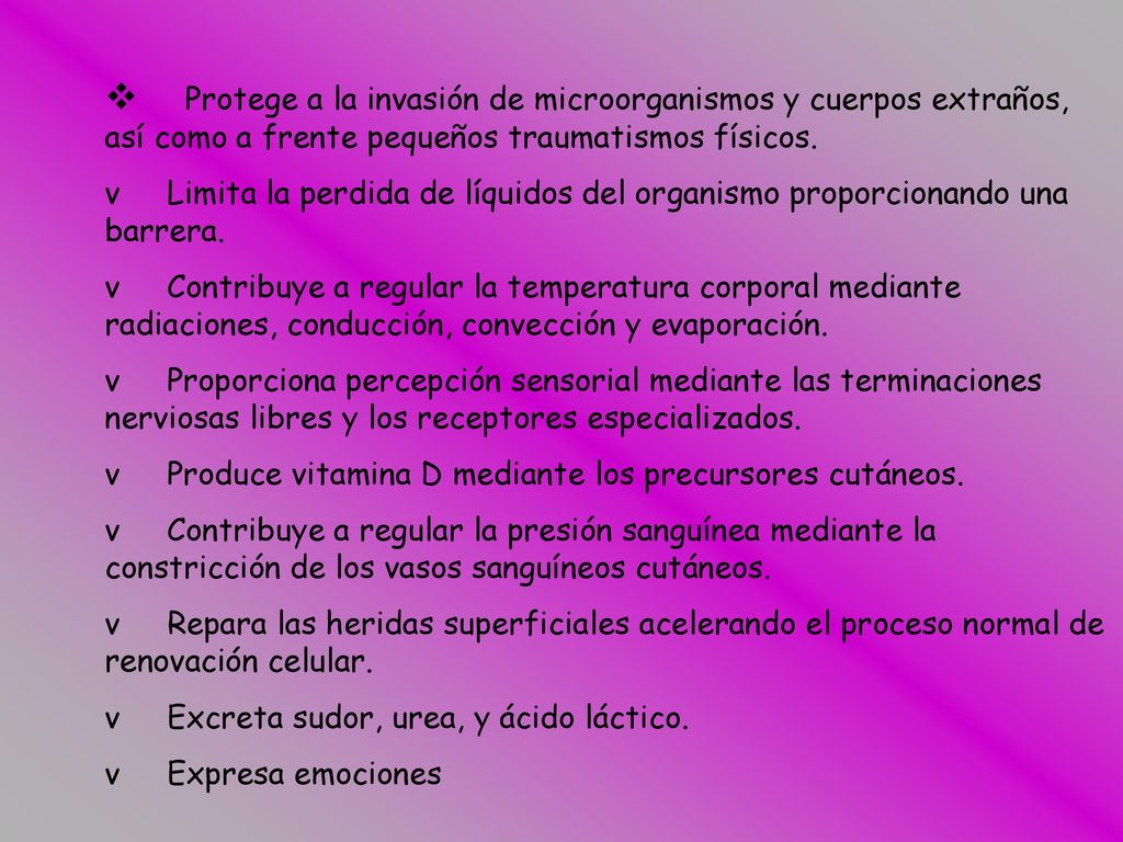 v Protege a la invasión de microorganismos y cuerpos extraños, así como a frente pequeños traumatismos físicos.