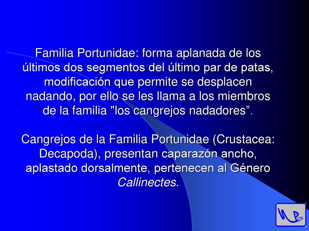 Familia Portunidae: forma aplanada de los últimos dos segmentos del último par de patas, modificación que permite se desplacen nadando, por ello se les llama a los miembros de la familia los cangrejos nadadores .