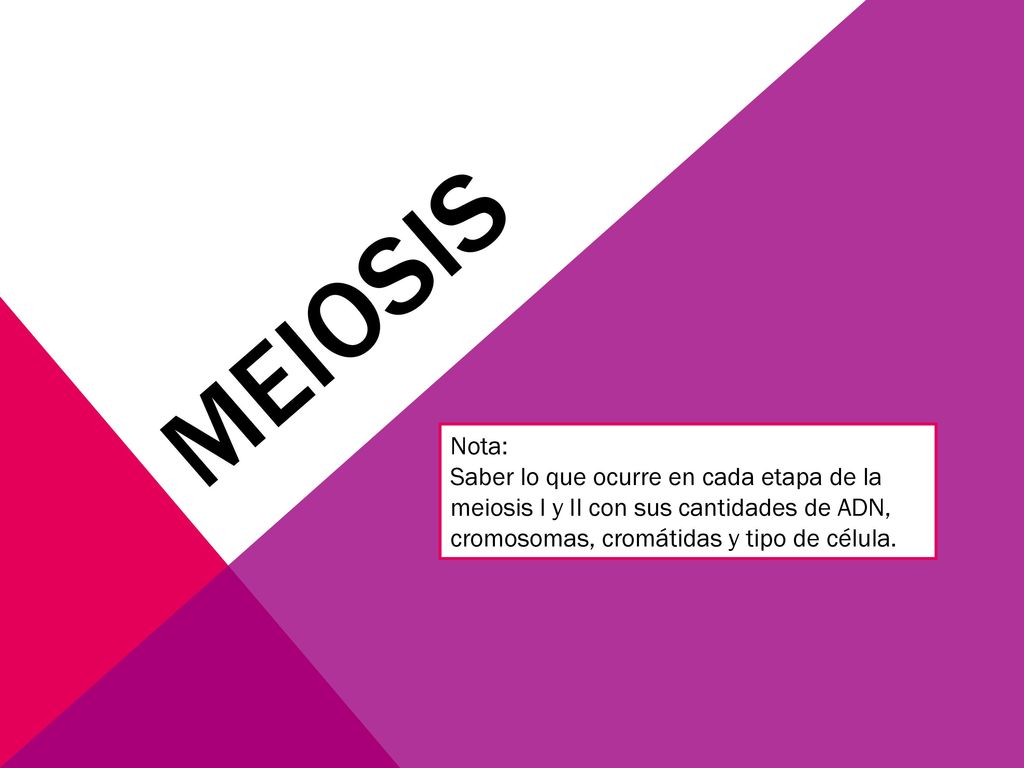MEIOSIS Nota: Saber lo que ocurre en cada etapa de la meiosis I y II con sus cantidades de ADN, cromosomas, cromátidas y tipo de célula.