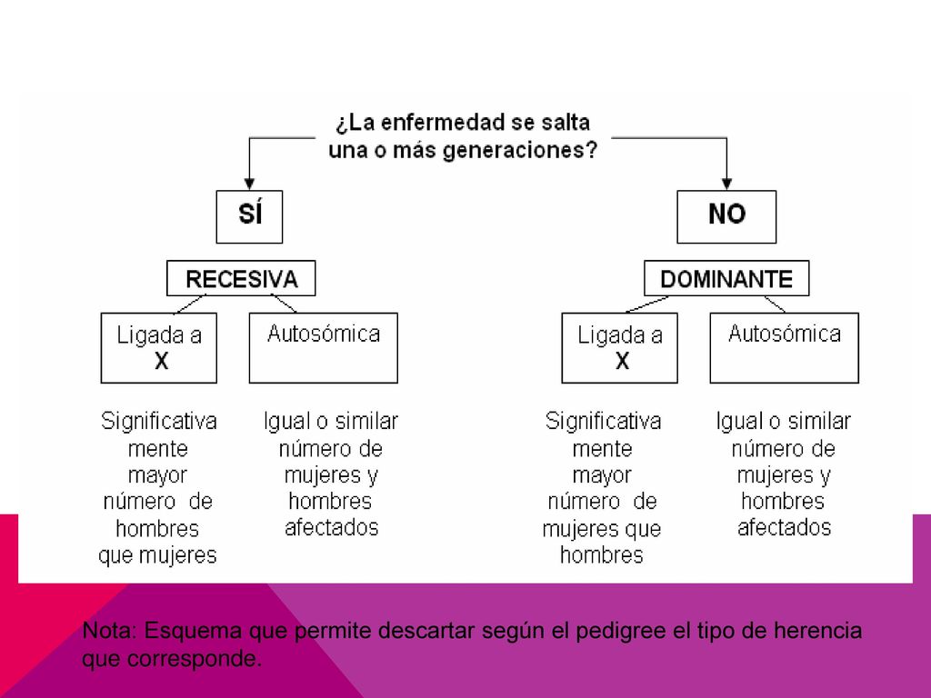Nota: Esquema que permite descartar según el pedigree el tipo de herencia que corresponde.