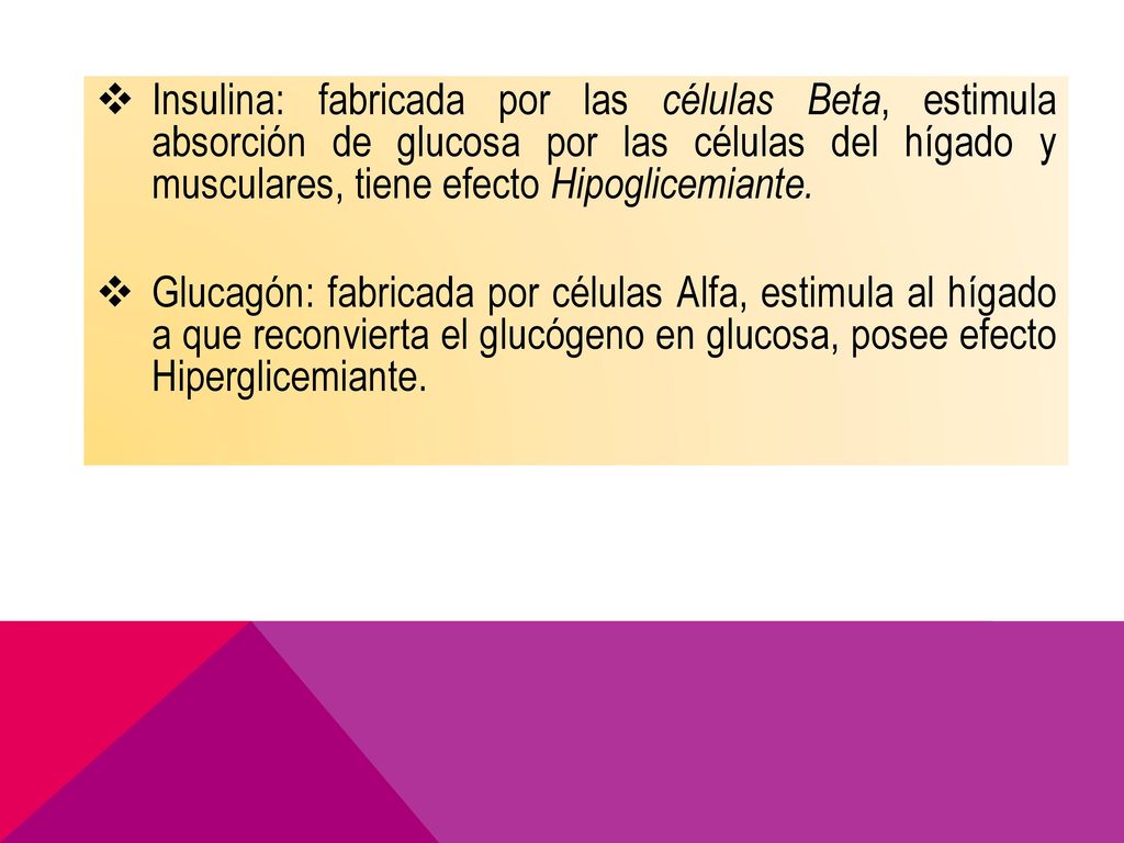 Insulina: fabricada por las células Beta, estimula absorción de glucosa por las células del hígado y musculares, tiene efecto Hipoglicemiante.