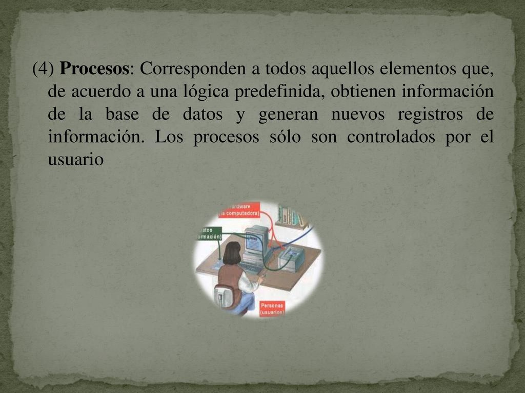 (4) Procesos: Corresponden a todos aquellos elementos que, de acuerdo a una lógica predefinida, obtienen información de la base de datos y generan nuevos registros de información.