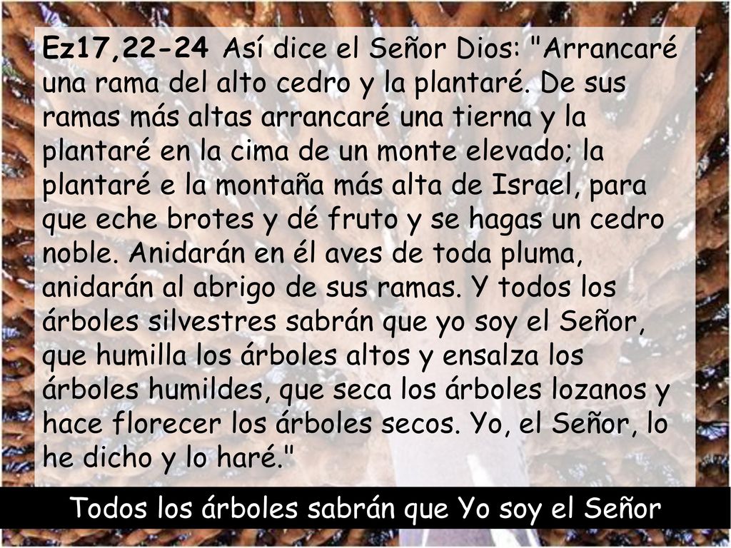 Todos los árboles sabrán que Yo soy el Señor