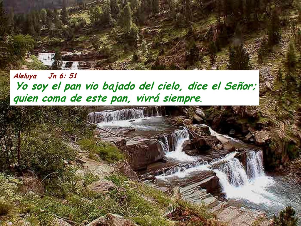 Aleluya Jn 6: 51 Yo soy el pan vio bajado del cielo, dice el Señor; quien coma de este pan, vivrá siempre.