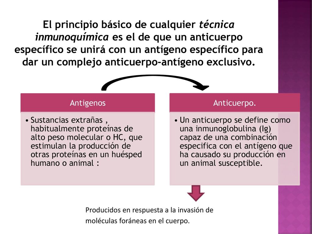 El principio básico de cualquier técnica inmunoquímica es el de que un anticuerpo específico se unirá con un antígeno específico para dar un complejo anticuerpo-antígeno exclusivo.