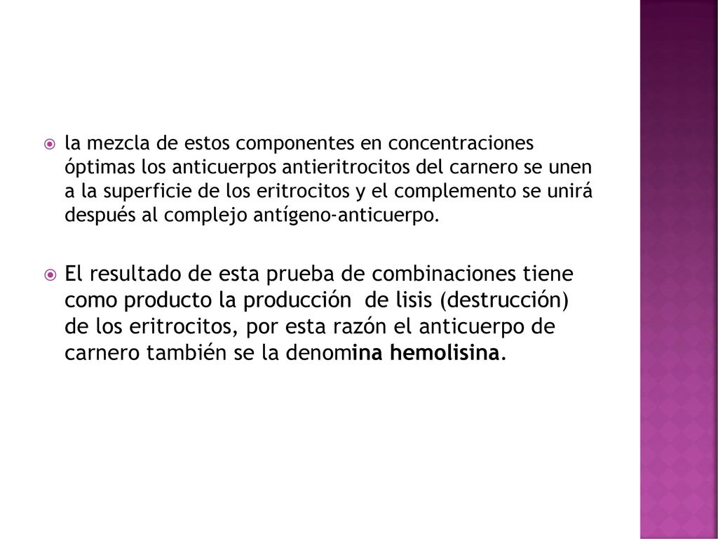la mezcla de estos componentes en concentraciones óptimas los anticuerpos antieritrocitos del carnero se unen a la superficie de los eritrocitos y el complemento se unirá después al complejo antígeno-anticuerpo.