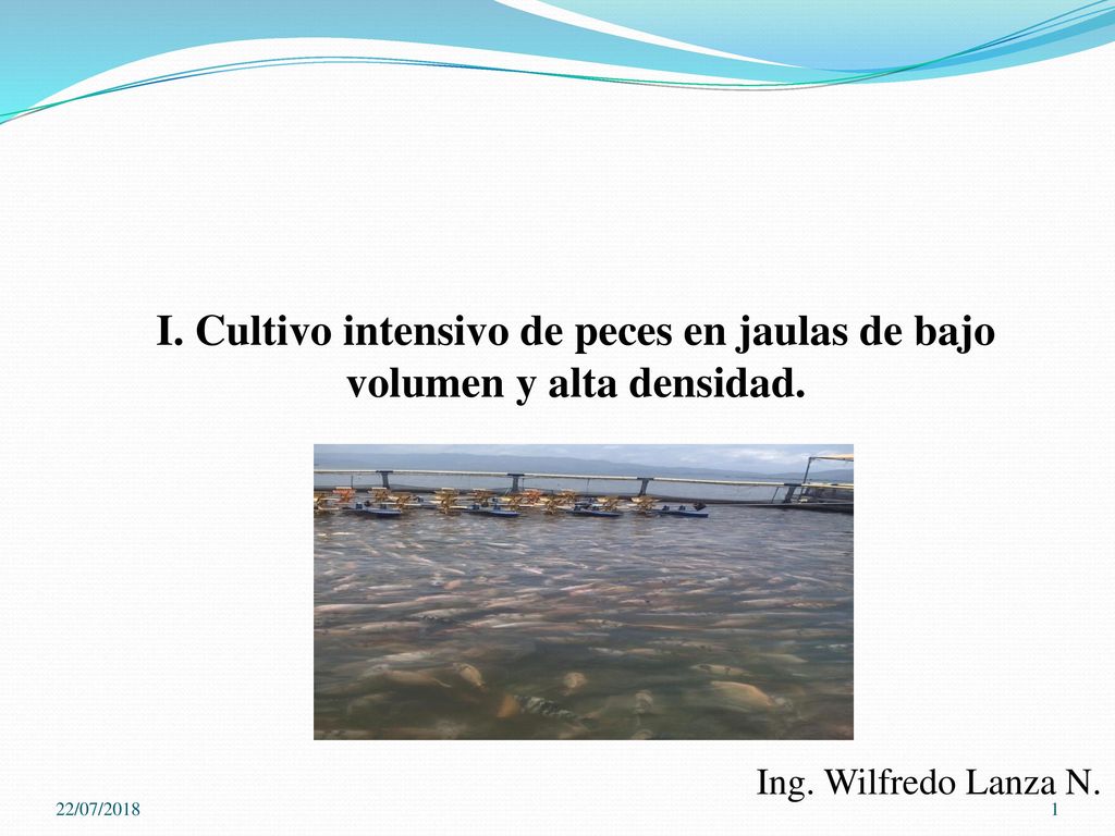 I. Cultivo intensivo de peces en jaulas de bajo volumen y alta densidad.