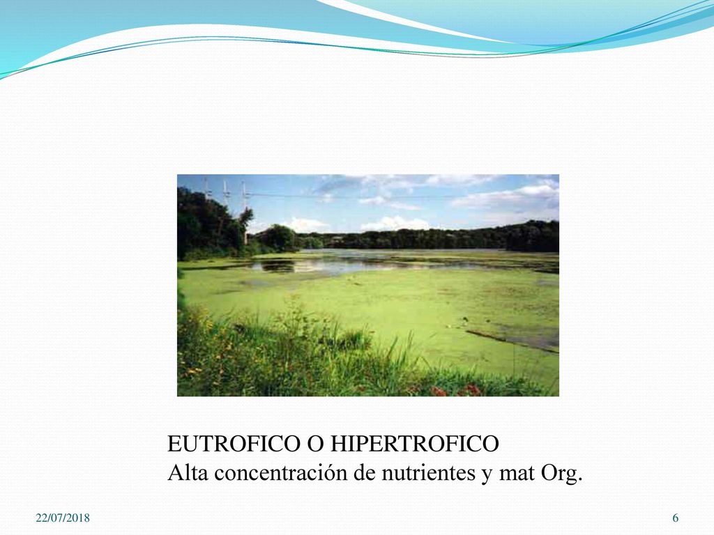 EUTROFICO O HIPERTROFICO Alta concentración de nutrientes y mat Org.