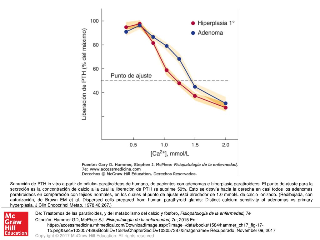 Secreción de PTH in vitro a partir de células paratiroideas de humano, de pacientes con adenomas e hiperplasia paratiroideos. El punto de ajuste para la secreción es la concentración de calcio a la cual la liberación de PTH se suprime 50%. Esto se desvía hacia la derecha en casi todos los adenomas paratiroideos en comparación con tejidos normales, en los cuales el punto de ajuste está alrededor de 1.0 mmol/L de calcio ionizado. (Redibujada, con autorización, de Brown EM et al. Dispersed cells prepared from human parathyroid glands: Distinct calcium sensitivity of adenomas vs primary hyperplasia. J Clin Endocrinol Metab. 1978;46:267.)