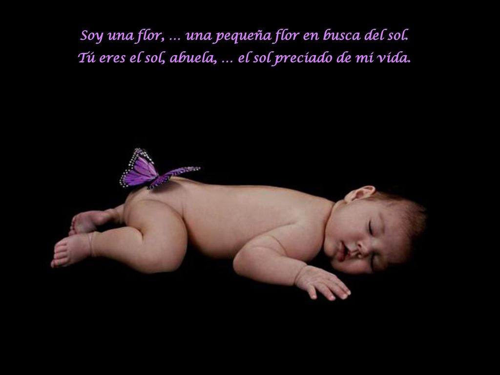 Soy una flor, … una pequeña flor en busca del sol.