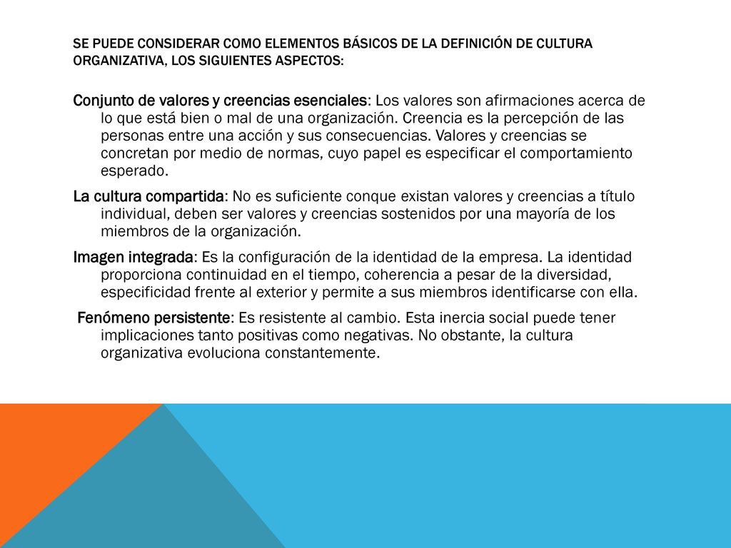 Se puede considerar como elementos básicos de la definición de cultura organizativa, los siguientes aspectos: