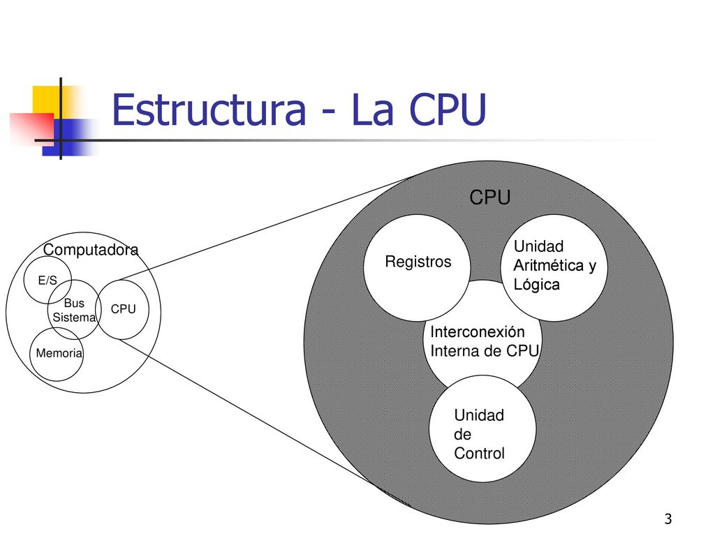 Estructura - La CPU CPU Unidad Computadora Aritmética y Registros