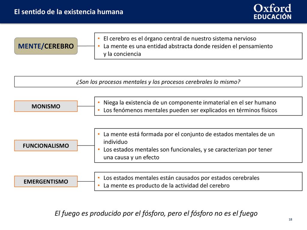 ¿Son los procesos mentales y los procesos cerebrales lo mismo