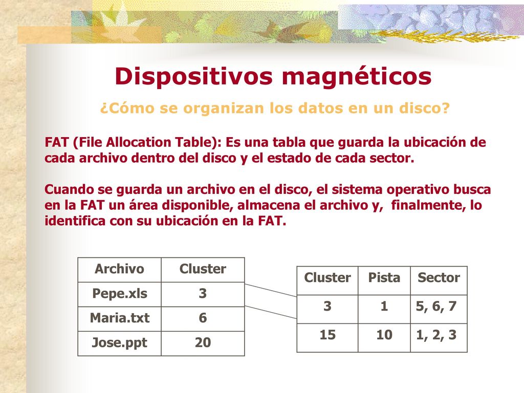 Dispositivos magnéticos ¿Cómo se organizan los datos en un disco