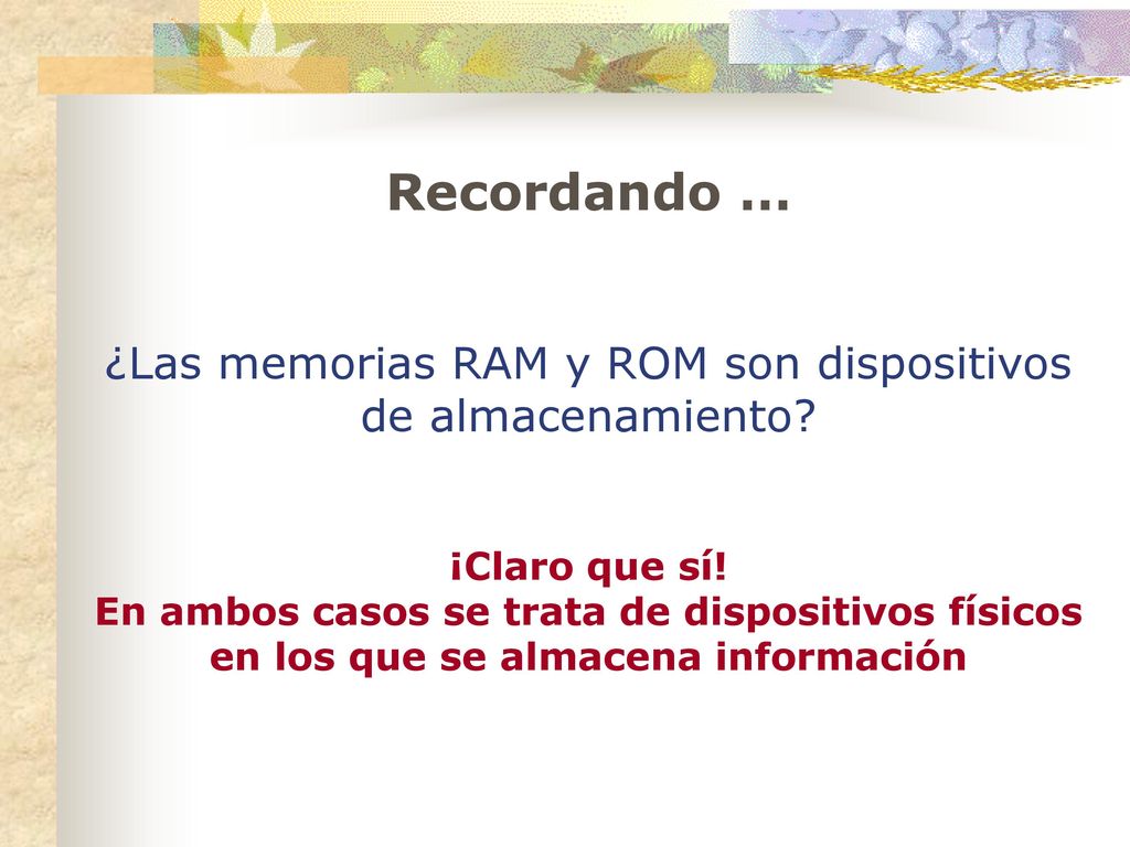 ¿Las memorias RAM y ROM son dispositivos de almacenamiento