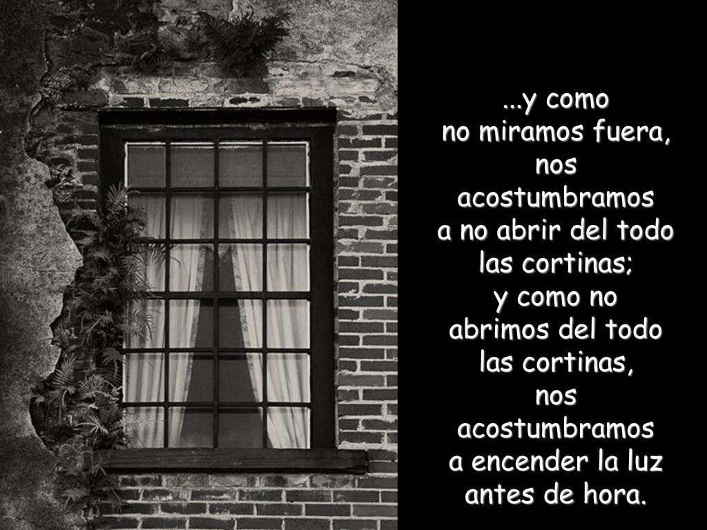 ...y como no miramos fuera, nos acostumbramos a no abrir del todo las cortinas; y como no abrimos del todo las cortinas, nos acostumbramos a encender la luz antes de hora.