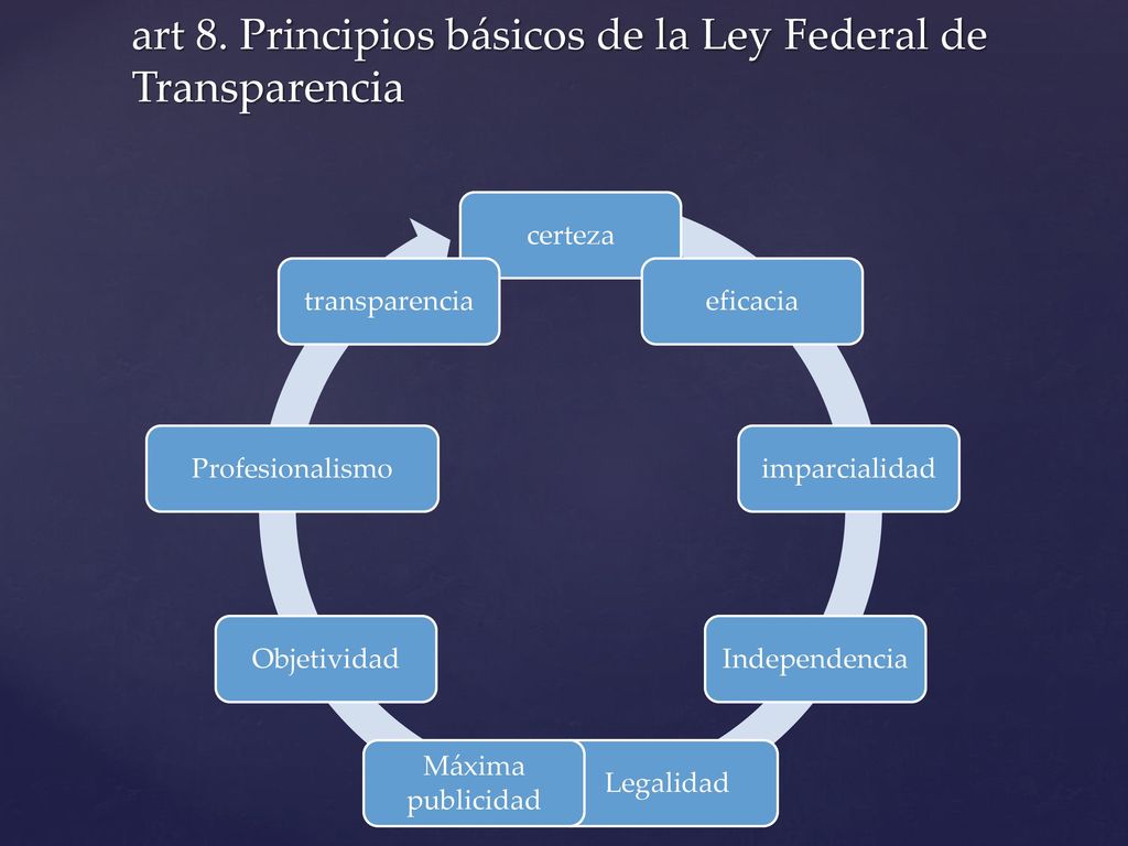 art 8. Principios básicos de la Ley Federal de Transparencia