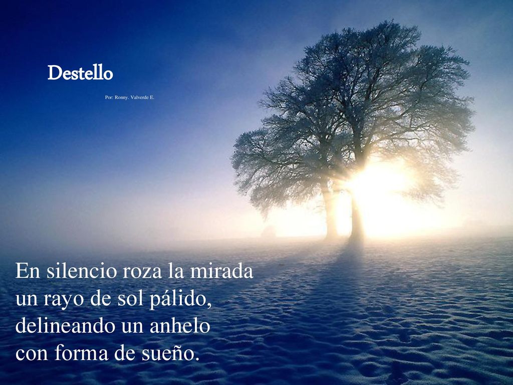 Destello En silencio roza la mirada un rayo de sol pálido,