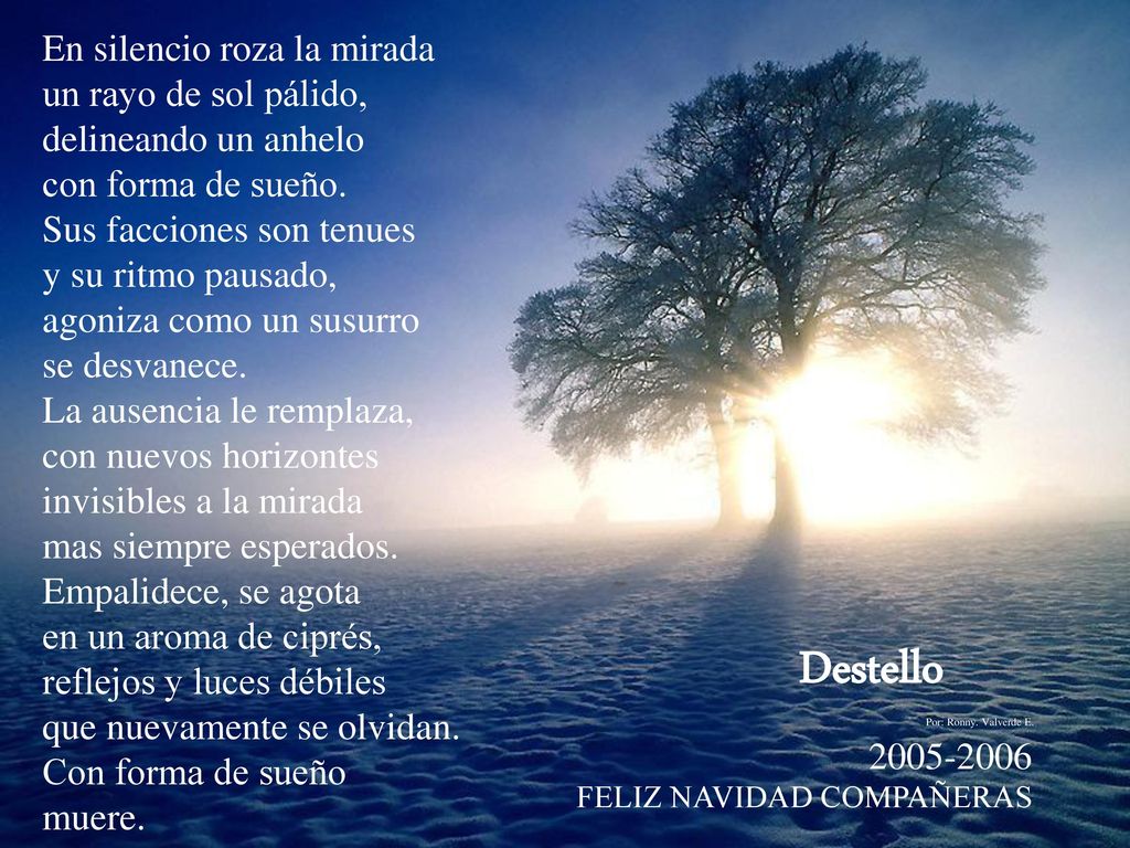 Destello En silencio roza la mirada un rayo de sol pálido,
