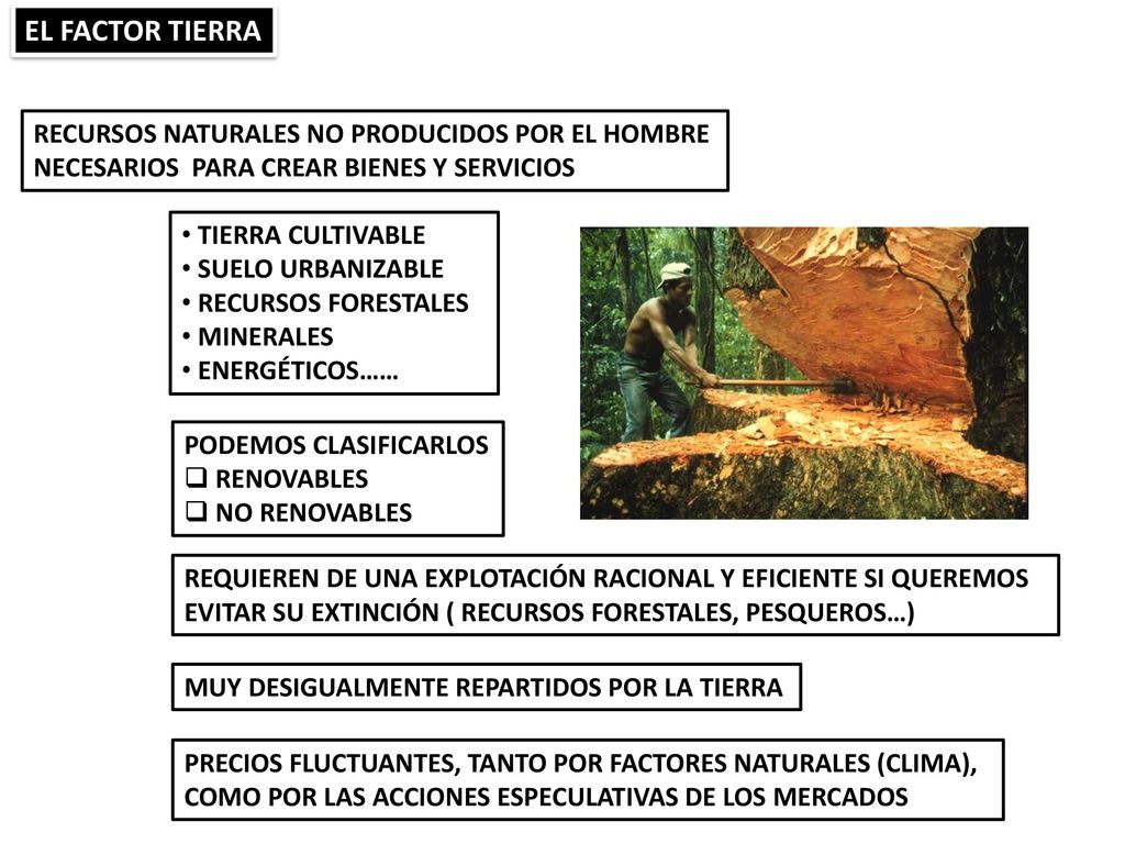 EL FACTOR TIERRA RECURSOS NATURALES NO PRODUCIDOS POR EL HOMBRE