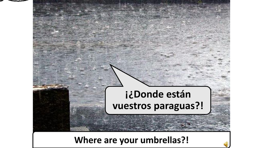 ¡¿Donde están vuestros paraguas ! Where are your umbrellas !