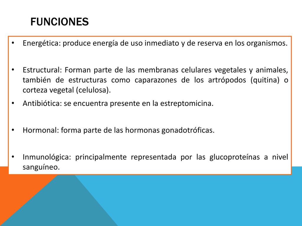 Funciones Energética: produce energía de uso inmediato y de reserva en los organismos.