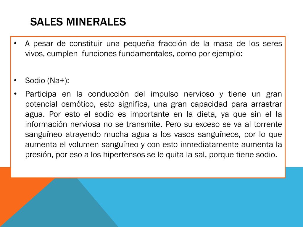 SALES MINERALES A pesar de constituir una pequeña fracción de la masa de los seres vivos, cumplen funciones fundamentales, como por ejemplo: