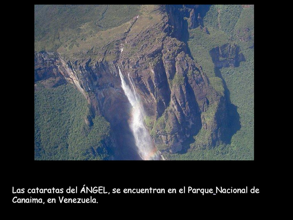 Las cataratas del ÁNGEL, se encuentran en el Parque Nacional de Canaima, en Venezuela.