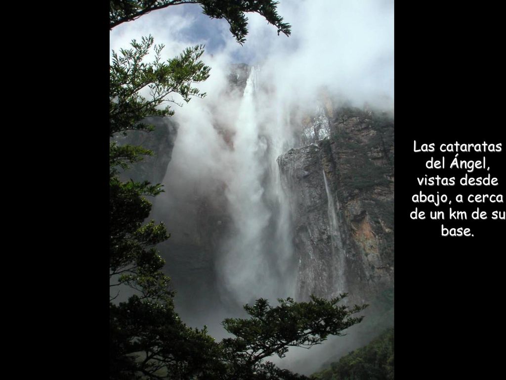 Las cataratas del Ángel, vistas desde abajo, a cerca de un km de su base.