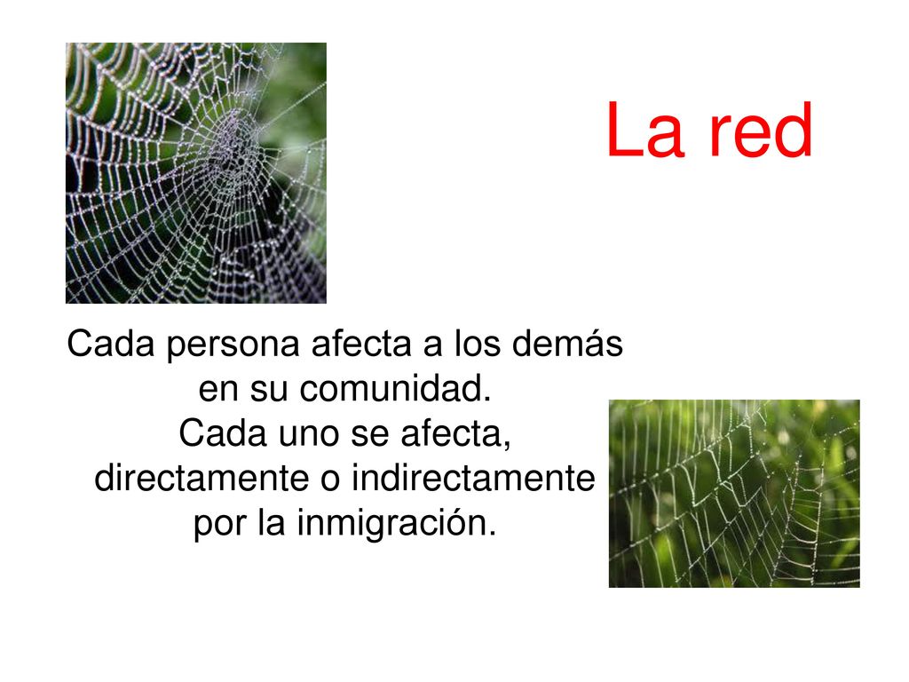 La red Cada persona afecta a los demás en su comunidad.