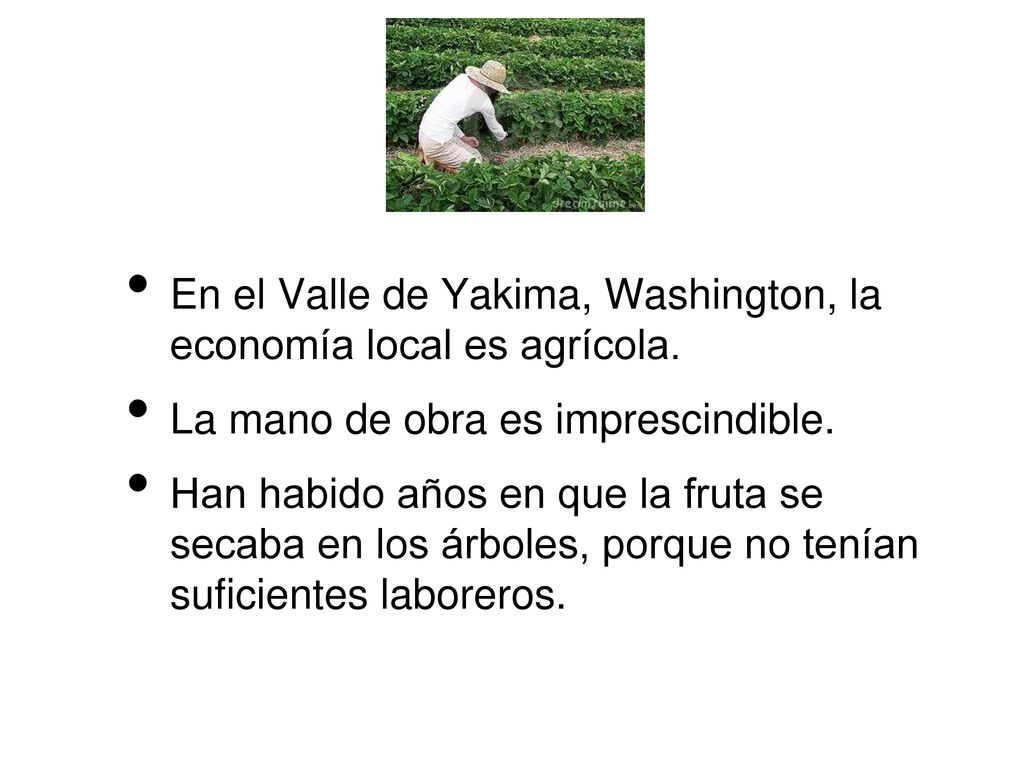 En el Valle de Yakima, Washington, la economía local es agrícola.